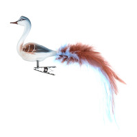 kleiner Halsvogel, Federn kleiner Halsvogel, Federn