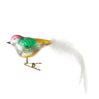 dicker Vogel, Feder dicker Vogel, Feder