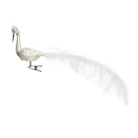 großer Halsvogel, gedrehter Kopf, Krone großer Halsvogel, gedrehter Kopf, Krone