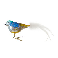 dicker Vogel, Feder dicker Vogel, Feder