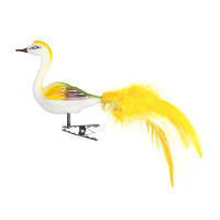 kleiner Halsvogel, Federn kleiner Halsvogel, Federn