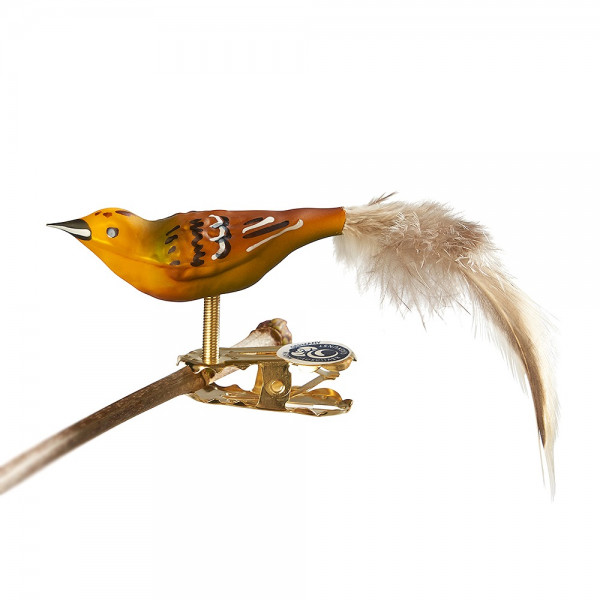 Glasvogel Mini-Goldammer, Naturfeder