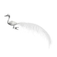 kleiner Halsvogel, gespritzt, lange weiße Feder, Krone kleiner Halsvogel, gespritzt, lange weiße Feder, Krone