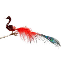 kleiner Halsvogel, mittlere + Pfauenfeder kleiner Halsvogel, mittlere + Pfauenfeder