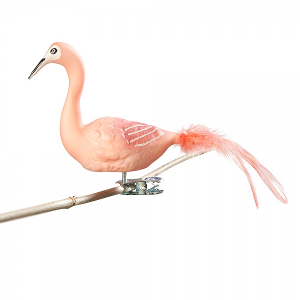 großer Flamingo, Naturfedern